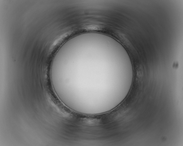 X0000112850539200909041532