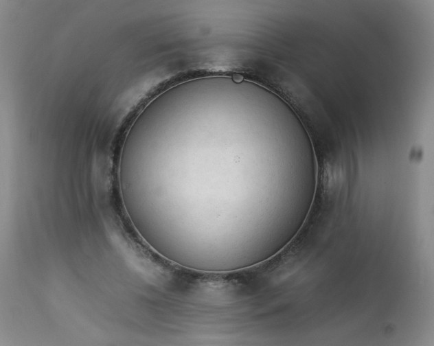 X0000112850540200909041532