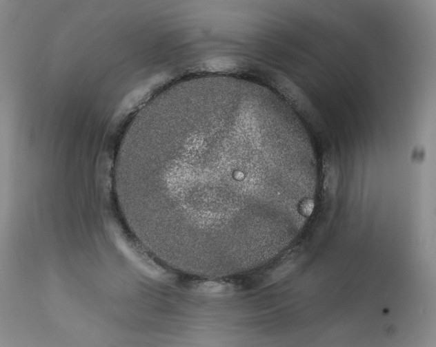 X0000112850542200909041532