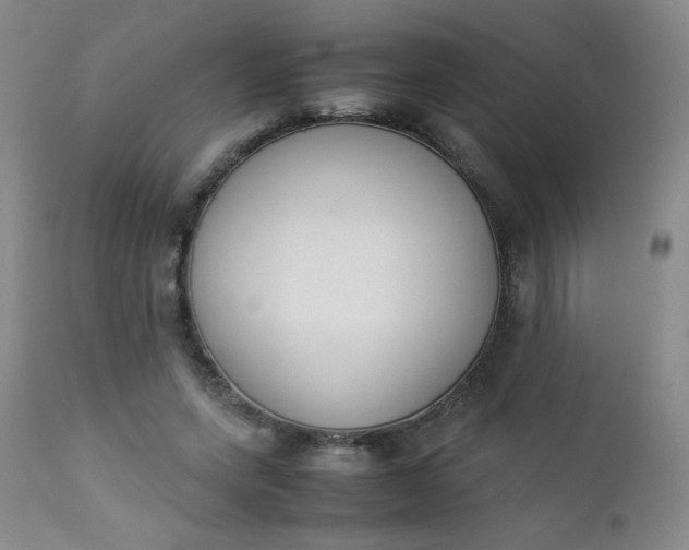 X0000112850543200909041532