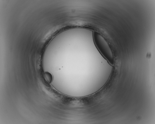 X0000112850544200909041532