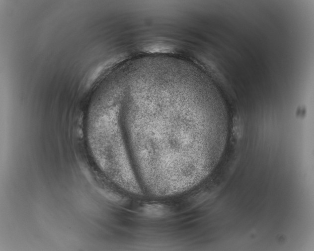 X0000112850547200909041532