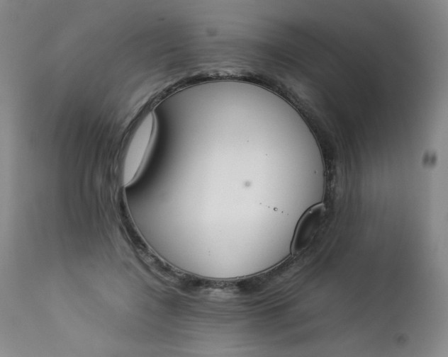 X0000112850548200909041532