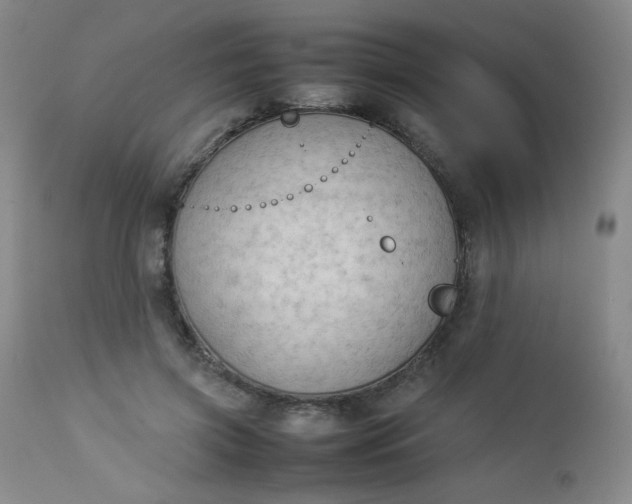 X0000112850549200909041532