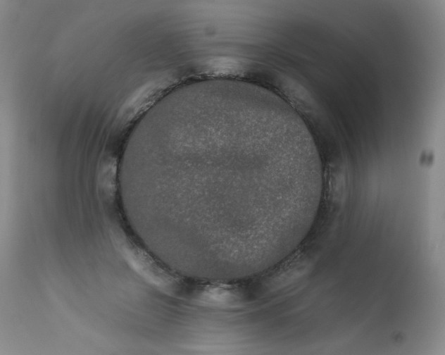 X0000112850550200909041532