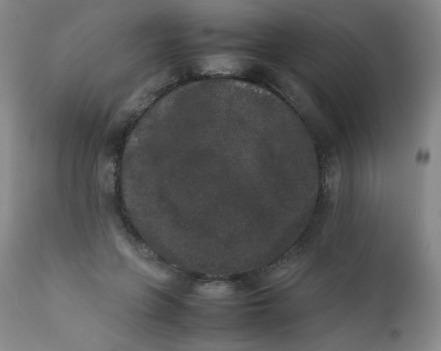 X0000112850551200909041532