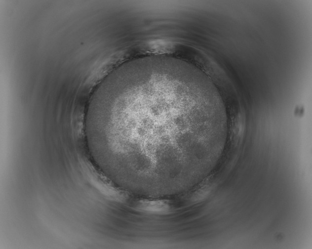 X0000112850553200909041532