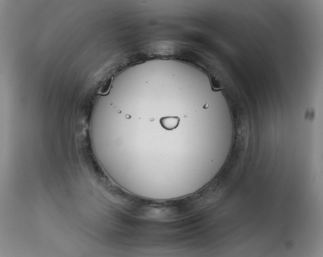 X0000112850555200909041532