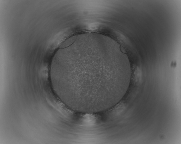 X0000112850562200909041532