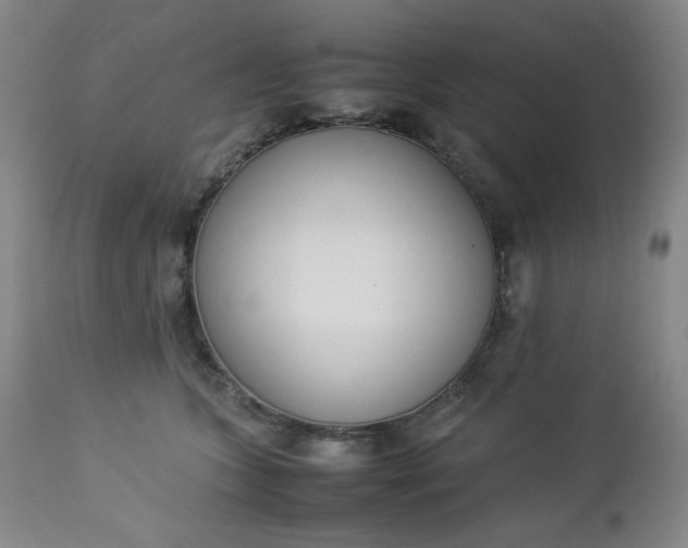 X0000112850563200909041532