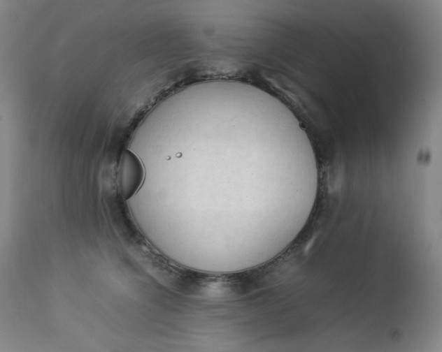 X0000112850564200909041532