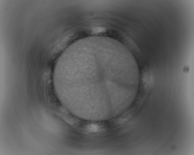 X0000112850565200909041532