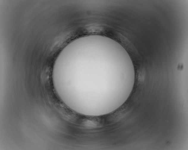 X0000112850567200909041532