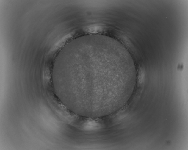 X0000112850569200909041532