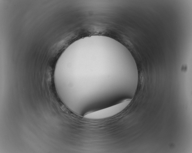 X0000112850570200909041532