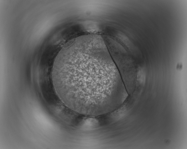 X0000112850572200909041532