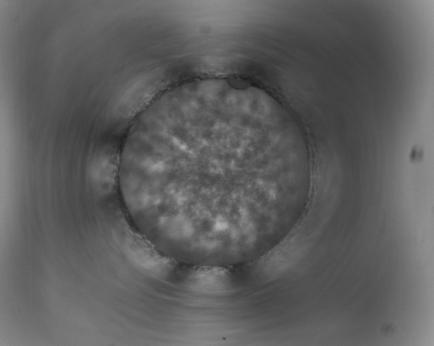 X0000112850576200909041532