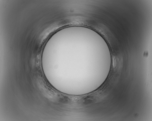 X0000112850579200909041531