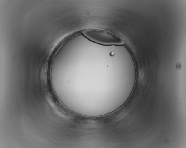 X0000112850580200909041531