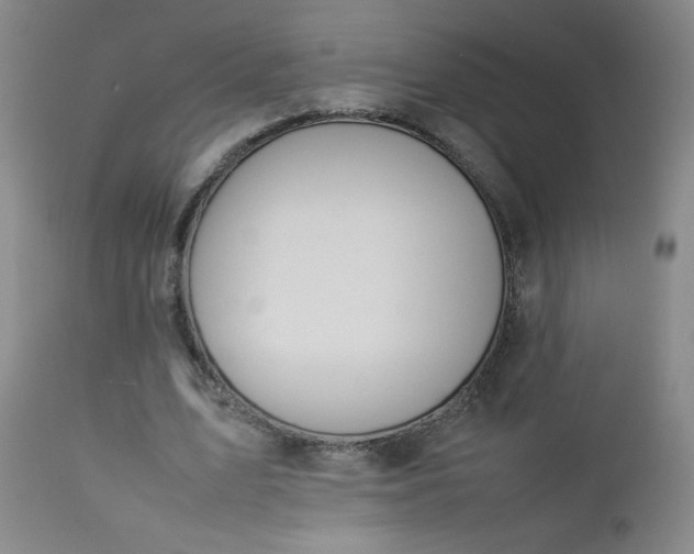 X0000112850583200909041531