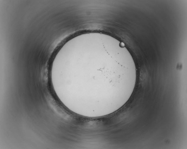 X0000112850584200909041531