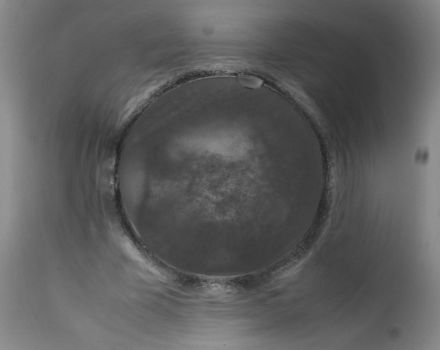 X0000112850585200909041531