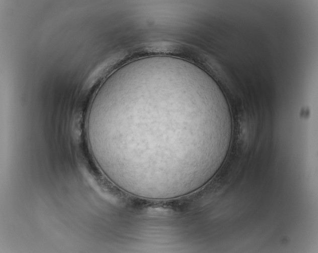 X0000112850586200909041531