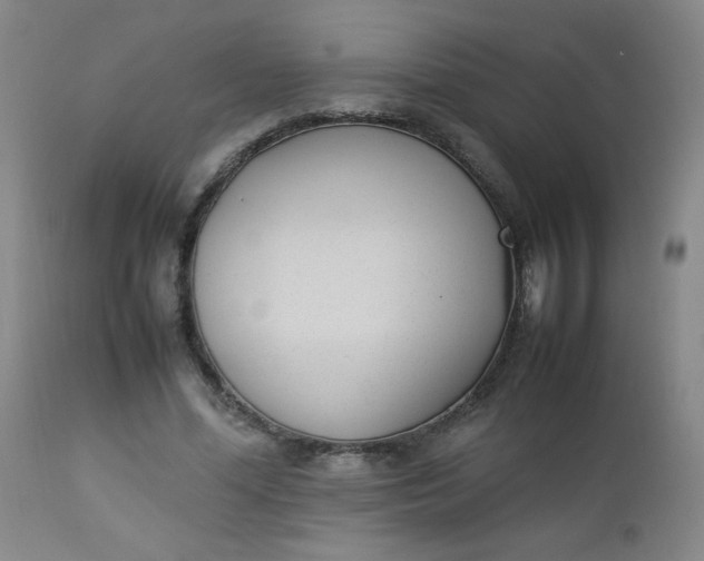 X0000112850588200909041531