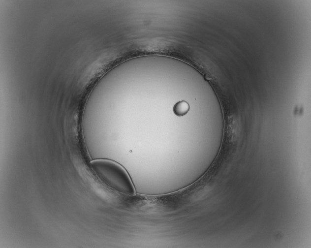 X0000112850589200909041531