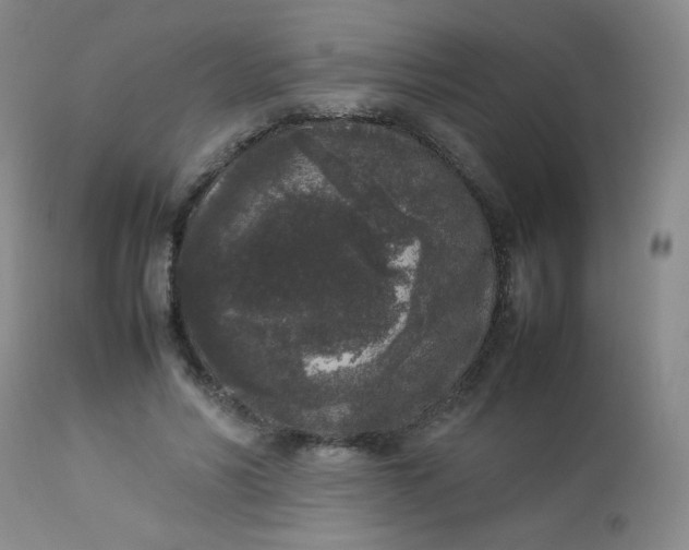 X0000112850590200909041531