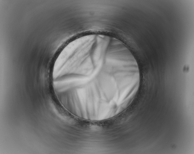 X0000112850592200909041531