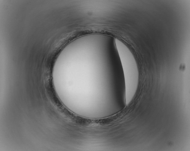 X0000112850593200909041531