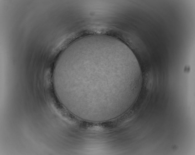 X0000112850594200909041531