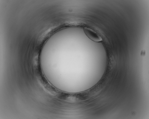 X0000112850596200909041531