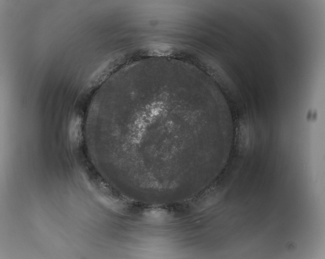 X0000112850598200909041531