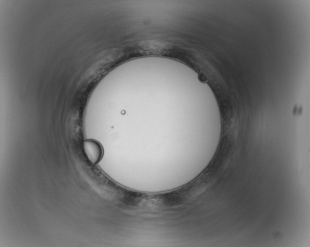 X0000112850599200909041531