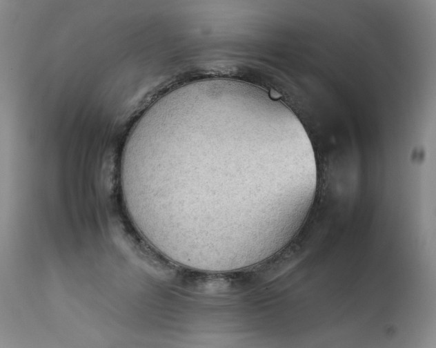 X0000112850600200909041531