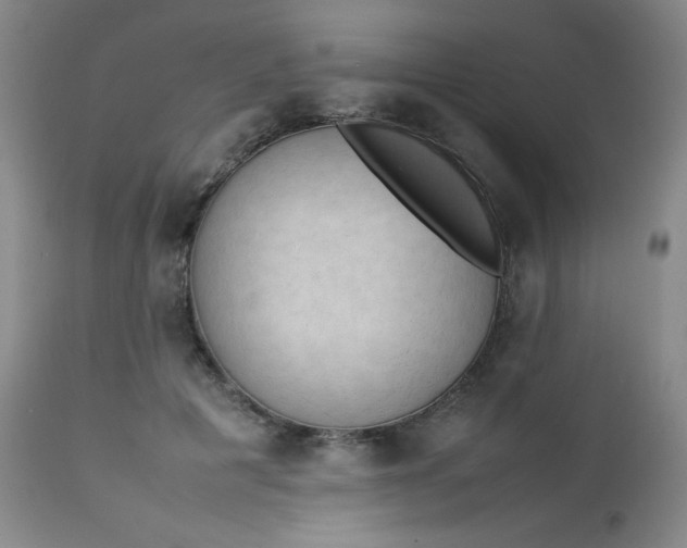 X0000112850601200909041531