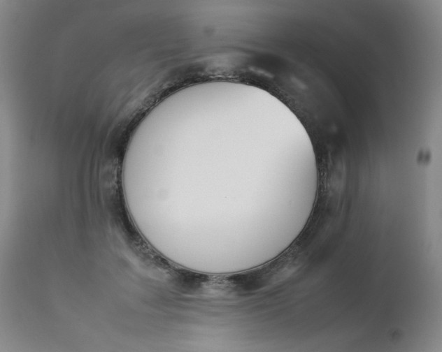 X0000112850603200909041531