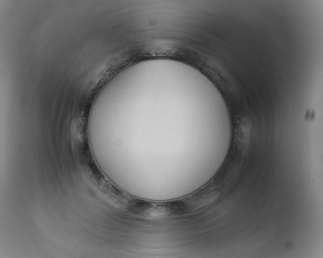 X0000112850604200909041531