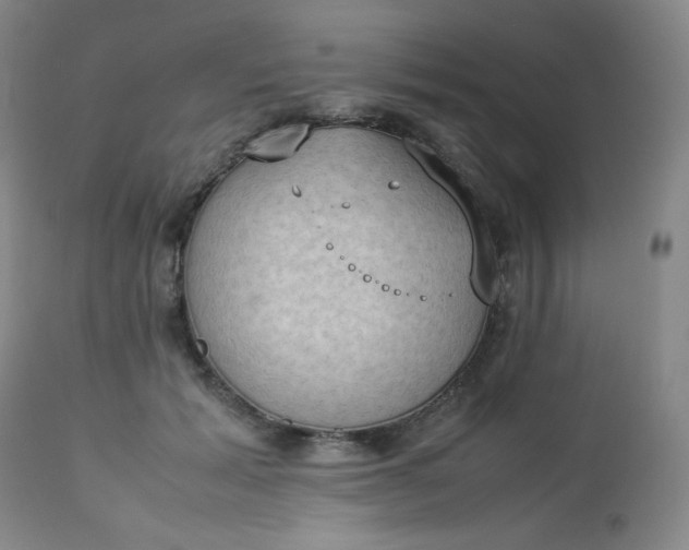 X0000112850605200909041531