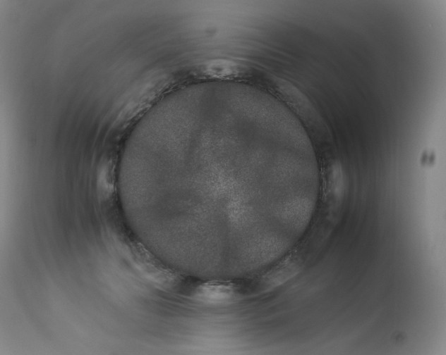 X0000112850606200909041531