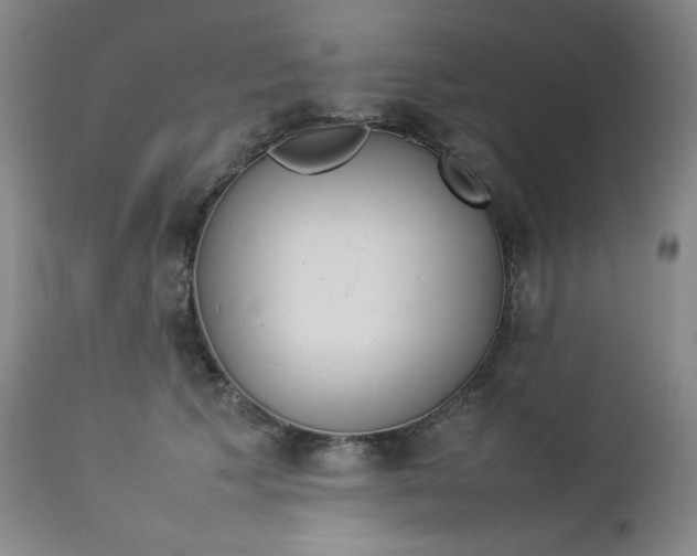 X0000112850609200909041531