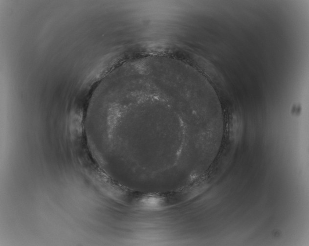 X0000112850610200909041531