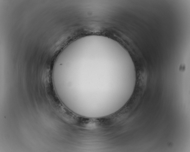 X0000112850612200909041531