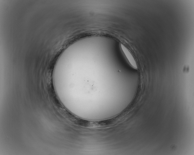 X0000112850613200909041531