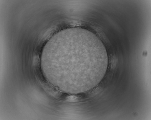 X0000112850614200909041531