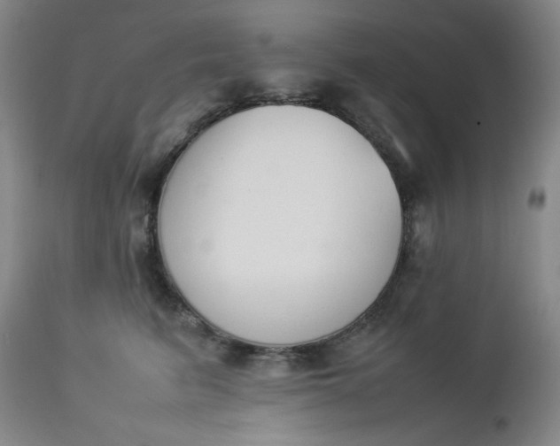 X0000112850615200909041531