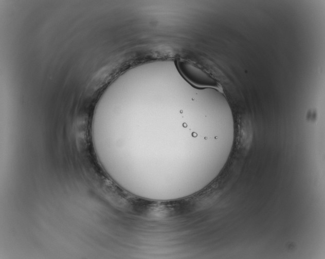 X0000112850616200909041531