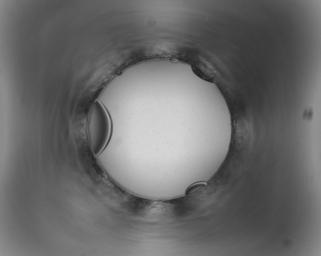 X0000112850617200909041531